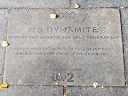 Miss Dynamite (id=9801)
